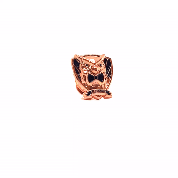 Owl Lapel Pin (Bronze Plated)